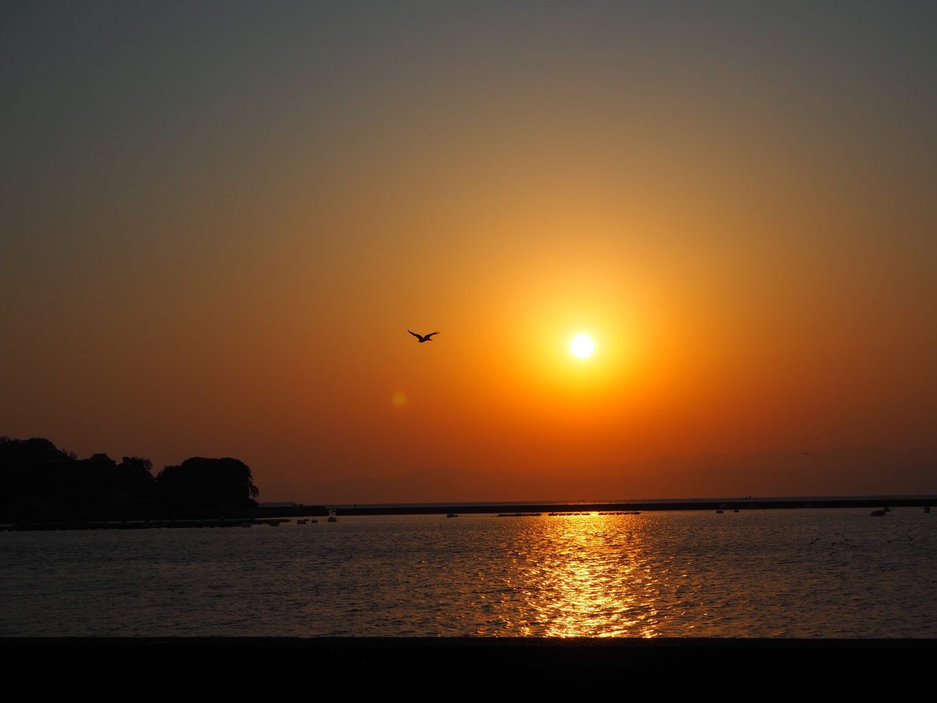 夕方の海岸 1 ／ ゆずごフォト CC-BY フリー素材写真配布