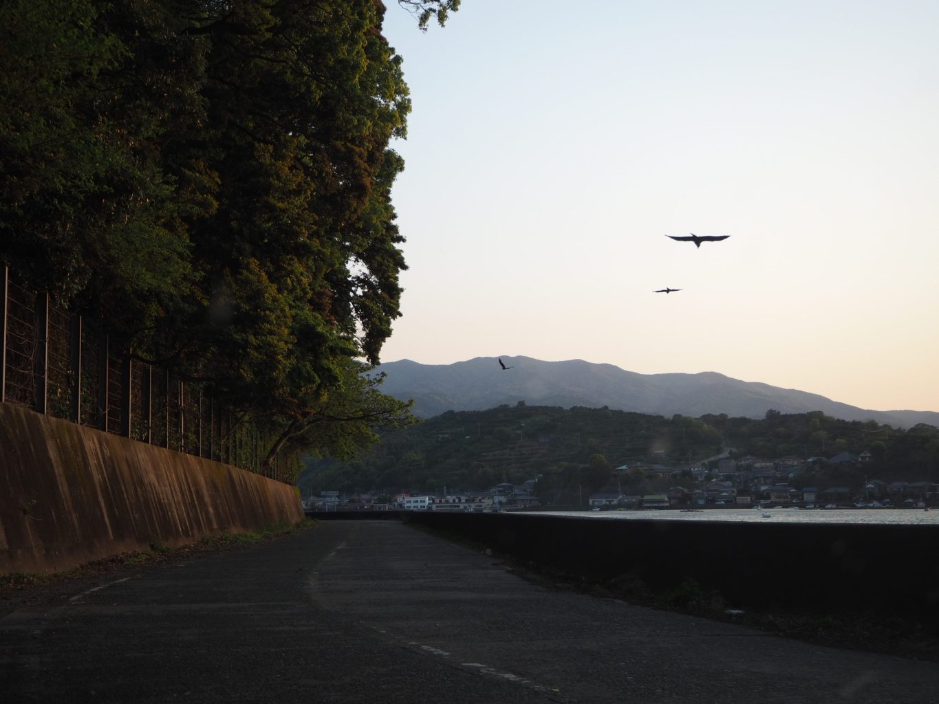 夕方の海岸 2 ／ ゆずごフォト CC-BY フリー素材写真配布