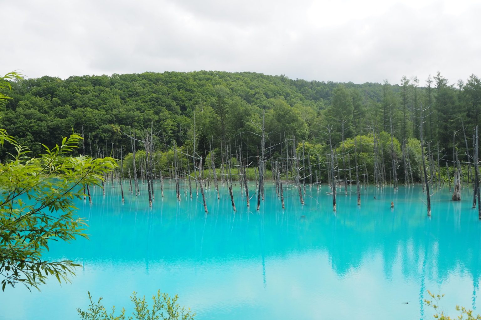 白金青い池 1 ／ ゆずごフォト CC-BY フリー素材写真配布