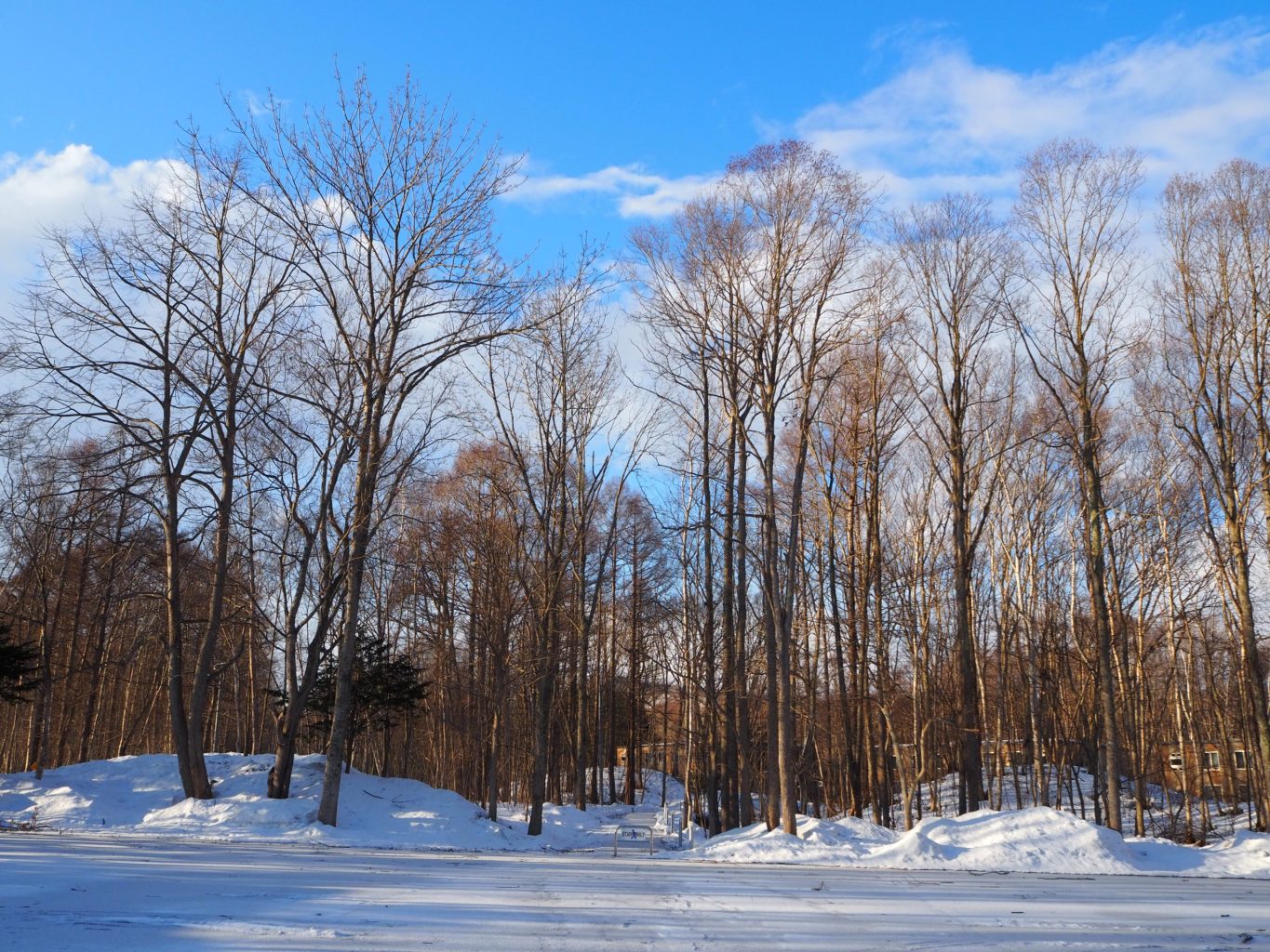 北海道大沼の風景 2 ／ ゆずごフォト CC-BY フリー素材写真配布